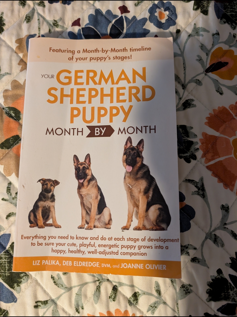 Your German Shepherd Puppy Month by Month Book | Training & Care Guide